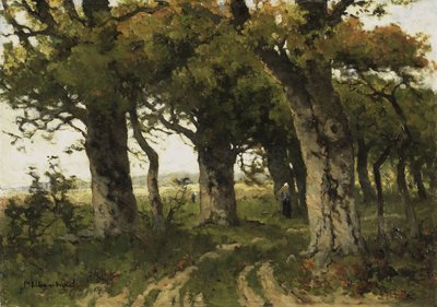 La avenida de los robles a finales del verano de Maria Bilders van Bosse