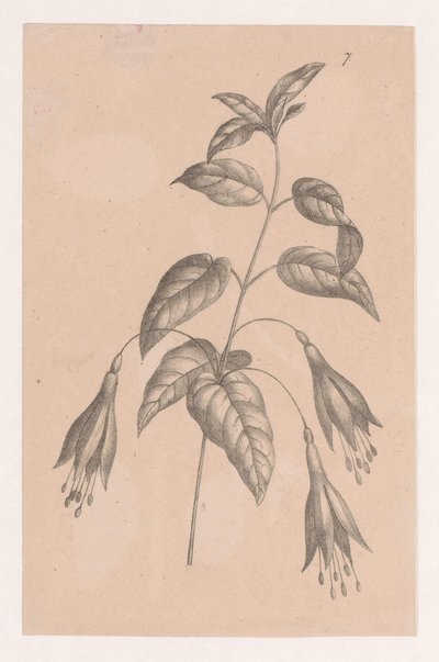 rama con flores de Maria Geertruida de Goeje Barbiers (attributed to)