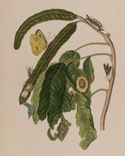 Ilustración de 