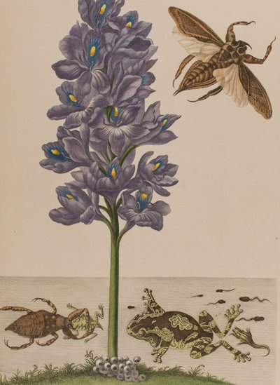 Ilustración de 