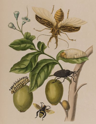 Ilustración de 