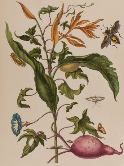 Ilustración de 