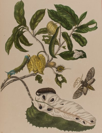 Ilustración de 