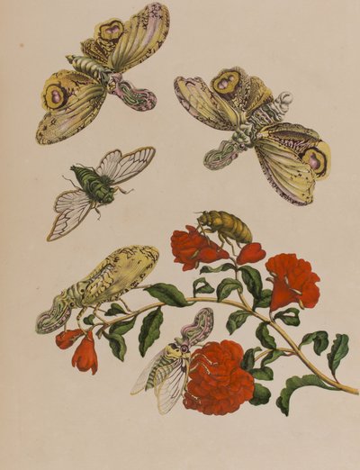 Ilustración de 