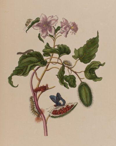 Ilustración de 