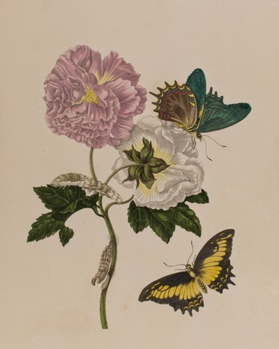 Ilustración de 