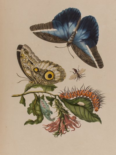 Ilustración de 
