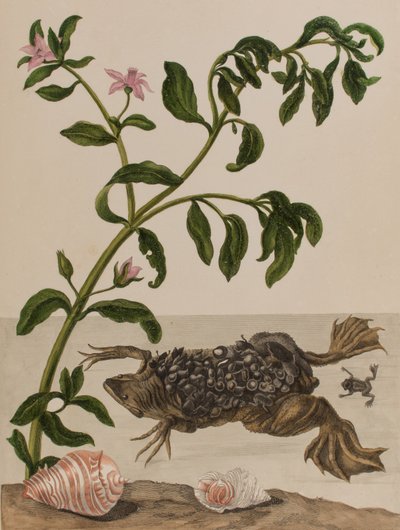 Ilustración de 