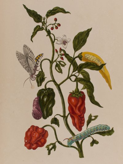 Ilustración de 