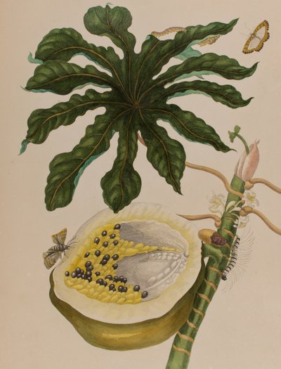 Ilustración de 