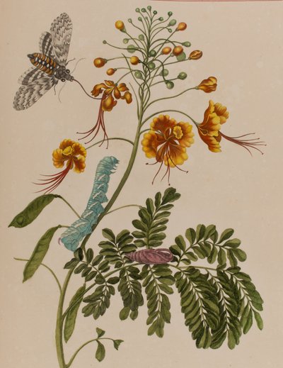 Ilustración de 