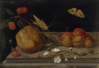 Naturaleza muerta con frutas, un saltamontes y una mariposa de Maria Sibylla Merian
