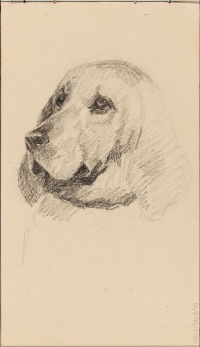 Cabeza de perro de Maria Wiik