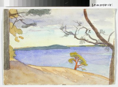 Paisaje costero de Maria Wiik