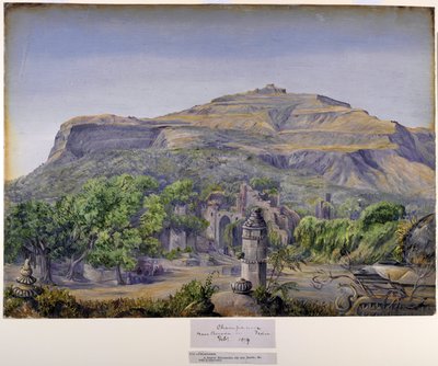 Champaneer, cerca de Baroda, India de Marianne North