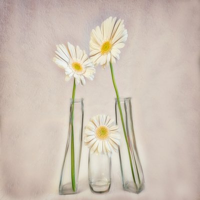  de Marie-anne Stas