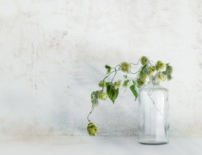  de Marie-anne Stas