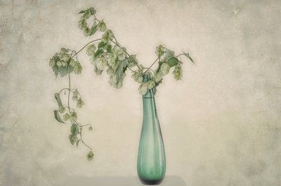 Naturaleza muerta con lúpulo verde de Marie-anne Stas