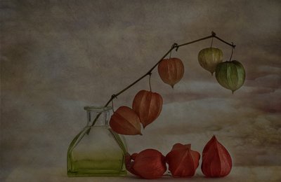 Linterna de otoño tranquila de Marie-anne Stas