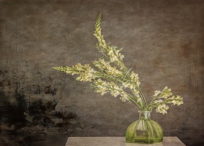 Naturaleza muerta floral rústica de Marie-anne Stas