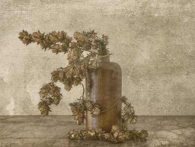 Naturaleza muerta rústica con lúpulo de Marie-anne Stas
