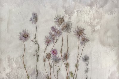 Flores en tonos pastel suaves de Marie-anne Stas