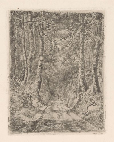 Bosque a lo largo de un camino hundido de Marie Adolphine van der Goes van Dirxland