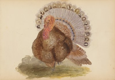 El álbum de Madame B de Marie Blanche Hennelle Fournier