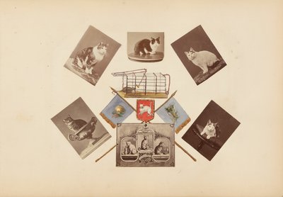 El álbum de Madame B de Marie Blanche Hennelle Fournier