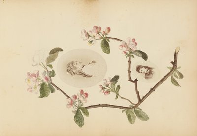 El álbum de Madame B de Marie Blanche Hennelle Fournier