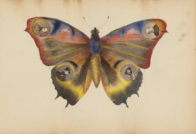 El álbum de Madame B de Marie Blanche Hennelle Fournier