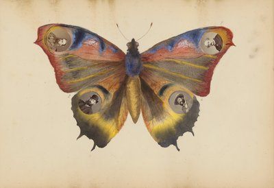 El álbum de Madame B de Marie Blanche Hennelle Fournier