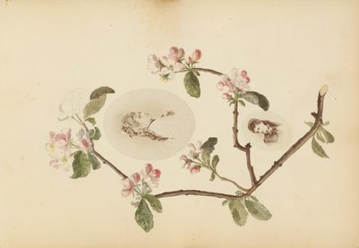 El álbum de Madame B, 1870s de Marie Blanche Hennelle Fournier