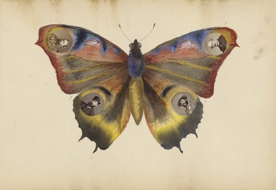 El álbum de Madame B de Marie Blanche Hennelle Fournier