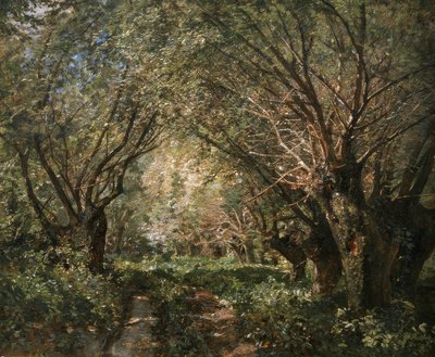 Avenida de sauces en Stillfried an der March de Marie Egner