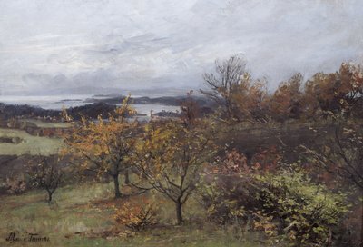 Otoño, Nesbyen (óleo sobre lienzo) de Marie Tannæs