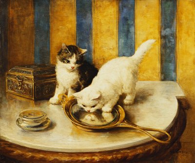 Reflejos felinos de Marie Yvonne Laur
