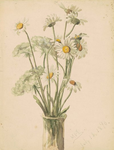 Margaritas y encaje de la reina Ana en un jarrón, 1890 de Marietta Minnegerode Andrews
