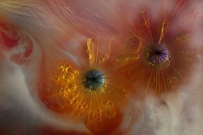 Formas fluidas y etéreas de Marijose Cueli