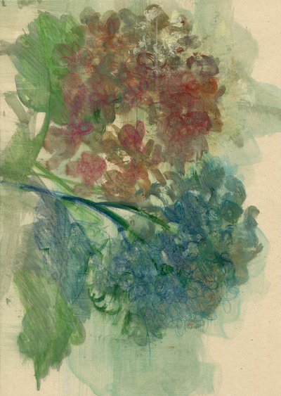 Hortensias, 2022 (óleo sobre papel) de Marina Falco