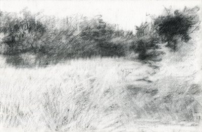 Paisaje, 2021 (carboncillo sobre papel) de Marina Falco