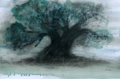 Olivo, 2023 (óleo y carboncillo sobre papel) de Marina Falco