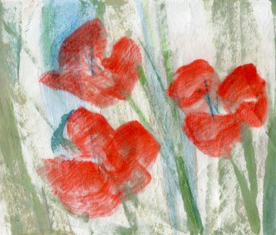 Flores rojas de Marina Falco