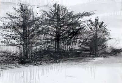 Árboles, 2023 (óleo y carboncillo sobre papel) de Marina Falco