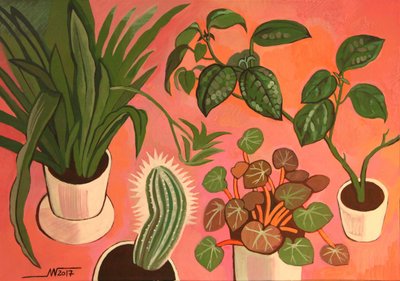 Plantas en maceta llenas de color de Marina Gorkaeva