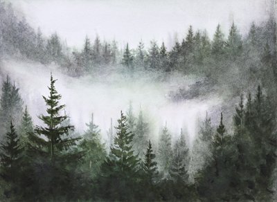Serenidad del bosque brumoso de Marina Kozyr