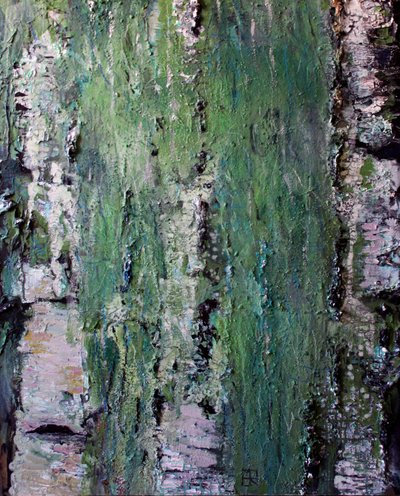 Corteza de abedul cubierta de musgo verde de Marina Nelson