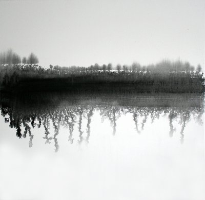 Reflejo en el bosque monocromático de Marina Nelson