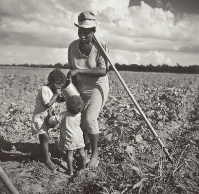 Mujer negra dando de beber a sus hijos en el campo donde está aporcando algodón en un proyecto cooperativo del FSA (Plantación Allen). de Marion Post Wolcott