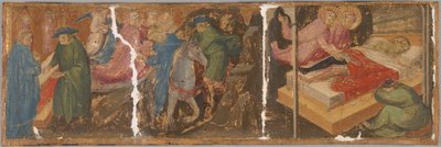 Escenas de la Leyenda de los Santos Cosme y Damián de Mariotto di Nardo